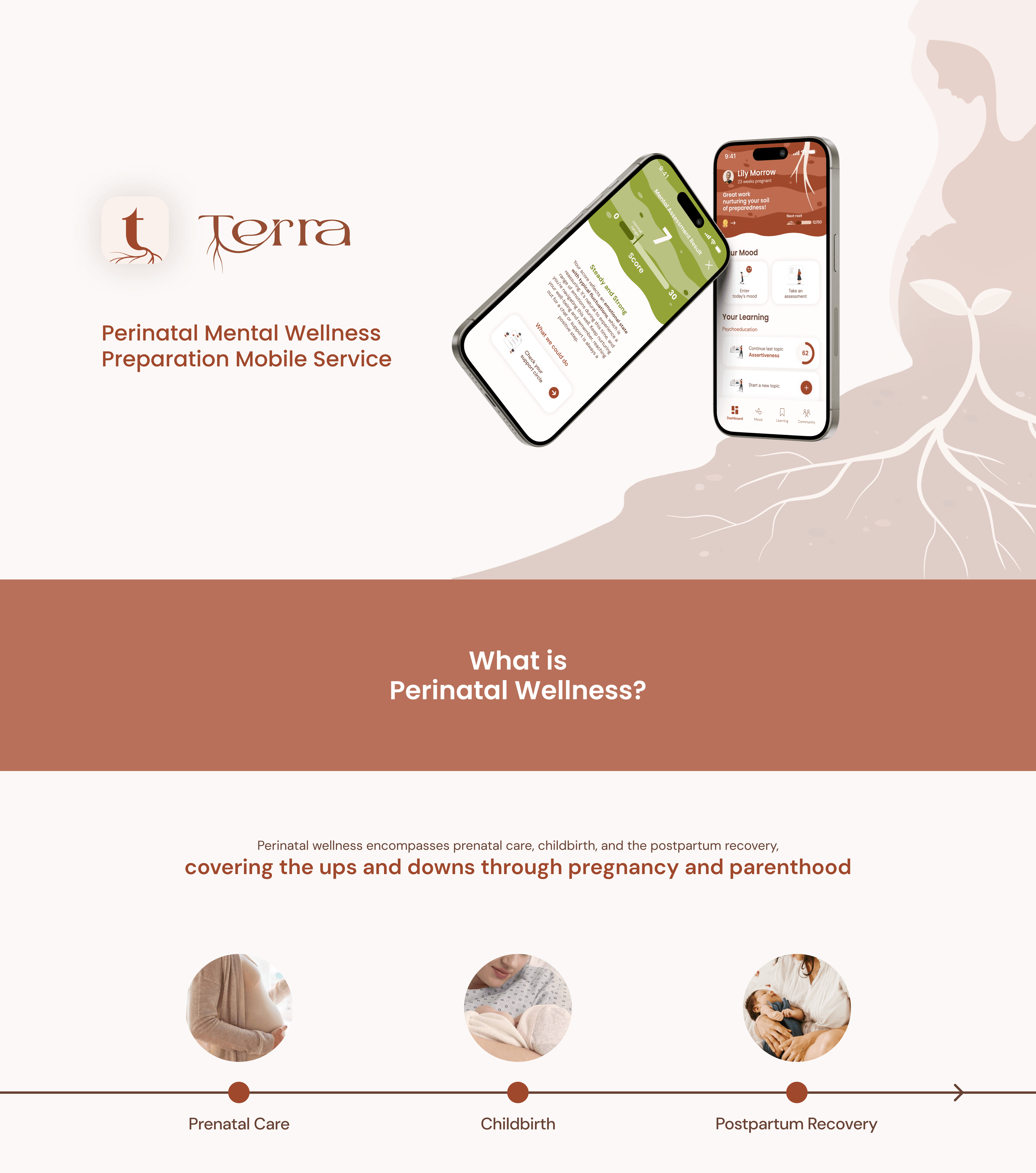 Terra — introduction